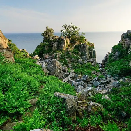 5 Person On A In * Gudhjem